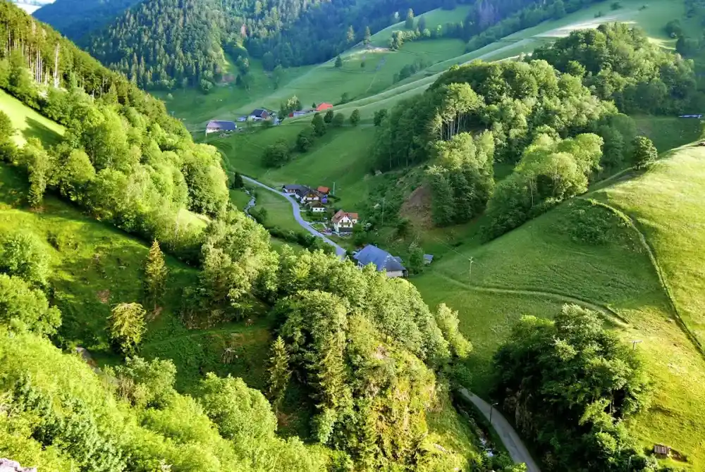Schwarzwald Klassik